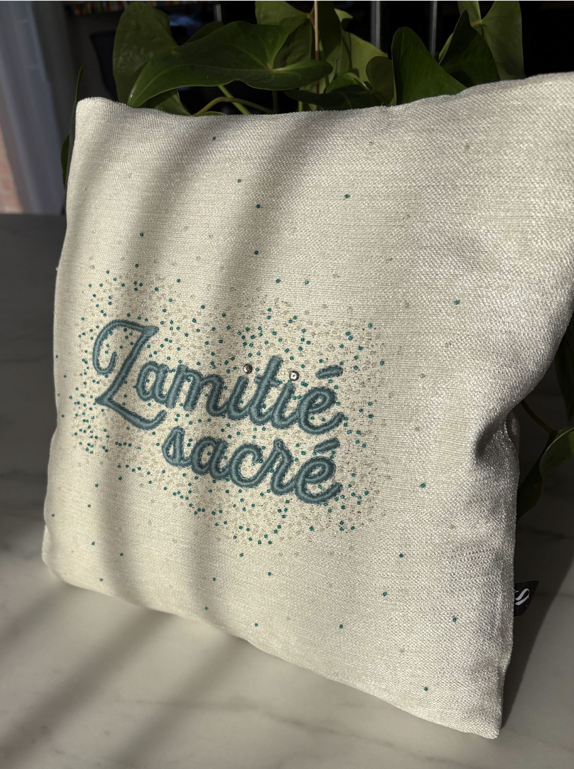 Anaïs Sabre - Coussin final ZAMITIE SACRE Anaïs Sabre - Coussin final ZAMITIE SACRE